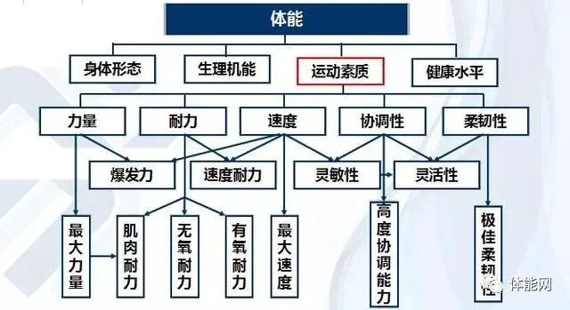 制定篮球交流计划以促进个人技能发展的方法_1